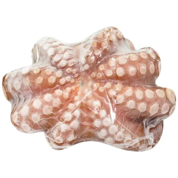 Defrosted Octopus