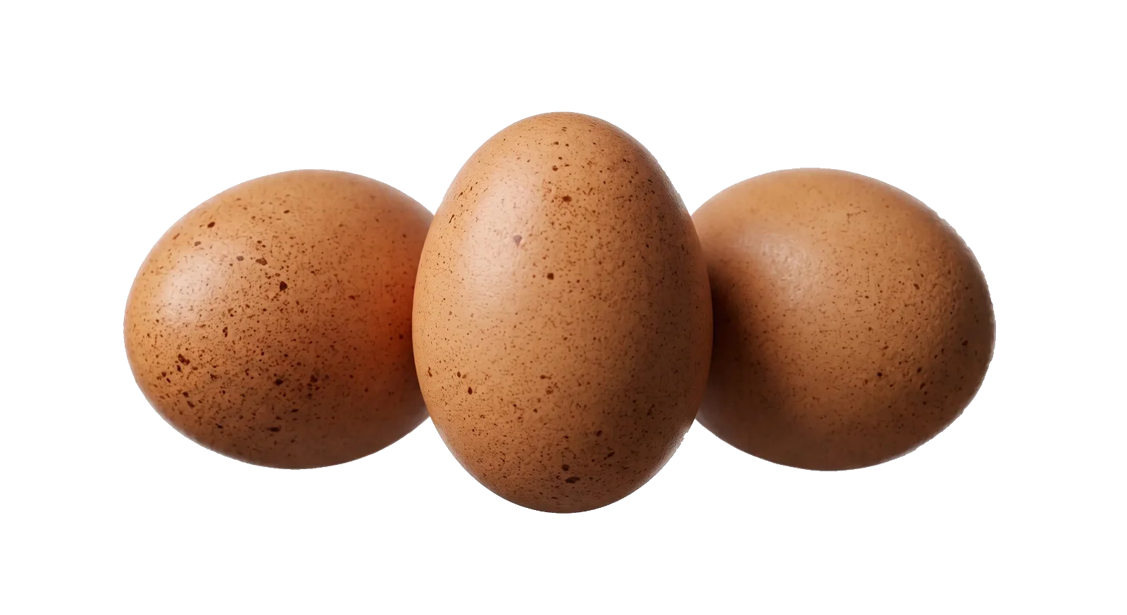 Egg