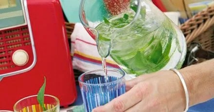 Sparkling Apple, Elderflower and Mint Cocktail