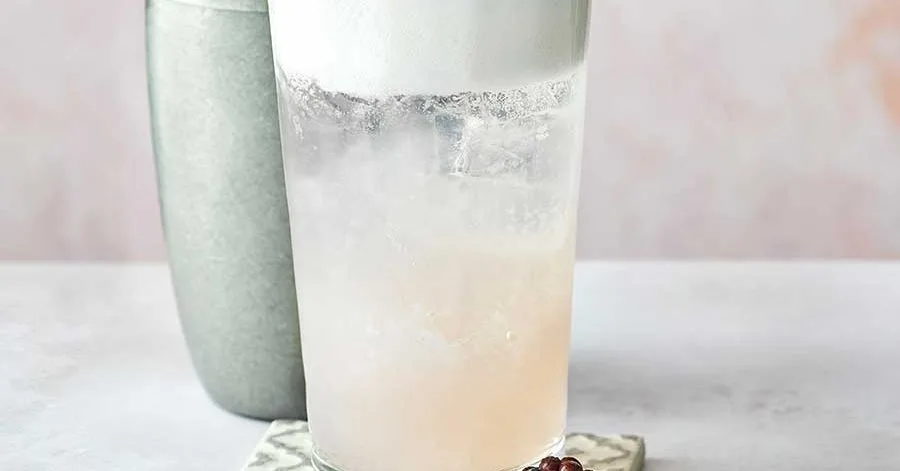 Blackberry Gin Fizz