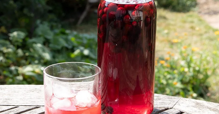 Blackcurrant gin