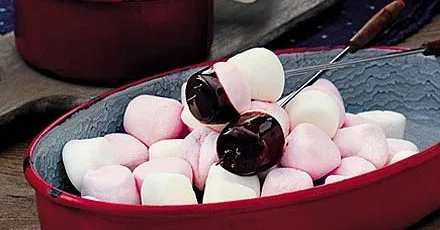 Chocolate fondue & toasted marshmallow