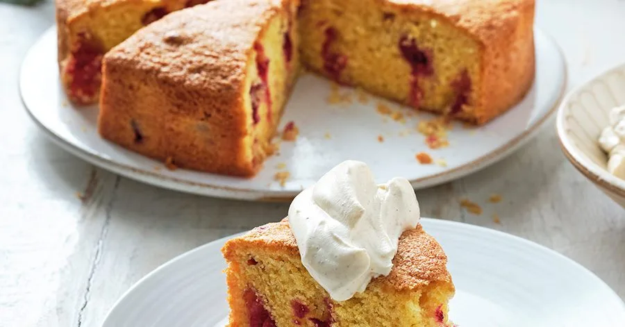 Polenta cake with cranberries and clementines with cinnamon cream