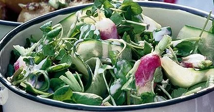 Crunchy watercress, cucumber & radish salad