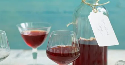 Damson Gin