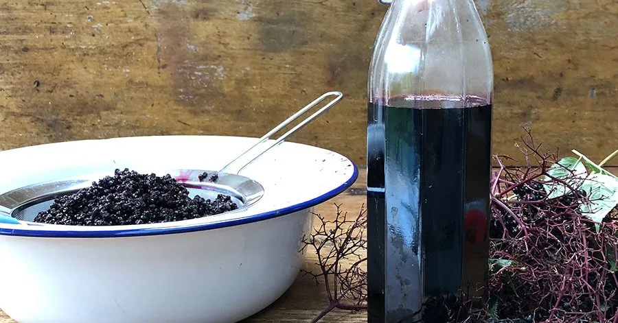 Elderberry syrup