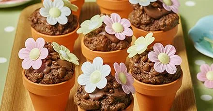 Flowerpot chocolate chip muffins