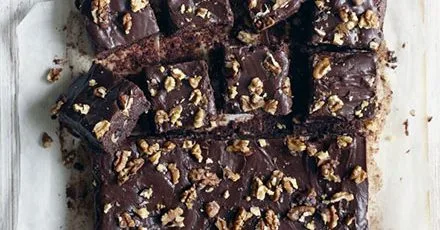 Fudgy chocolate squares