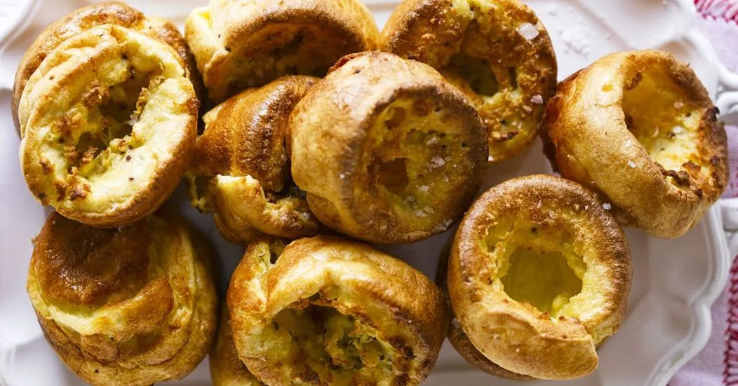 Mustard Yorkies