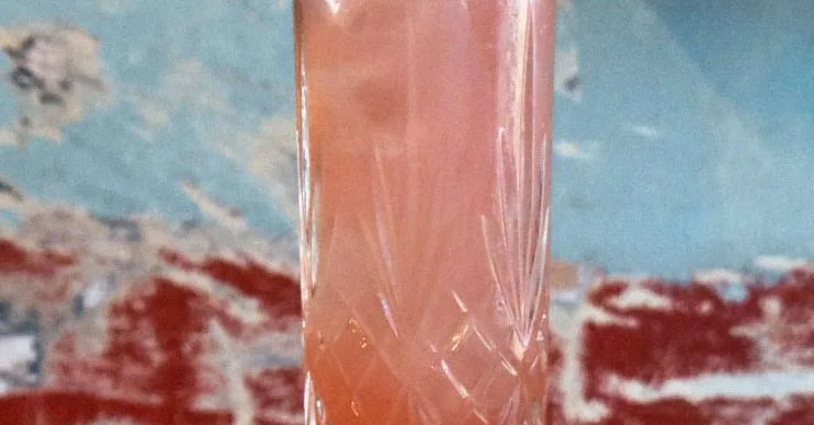 Palomezcal