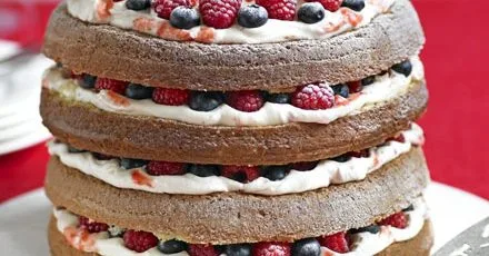 Genoise sponge