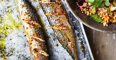 Roast mackerel with beet & spelt salad
