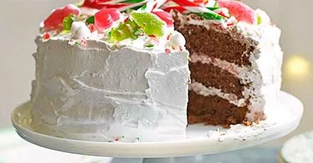 Winter wonderland cake