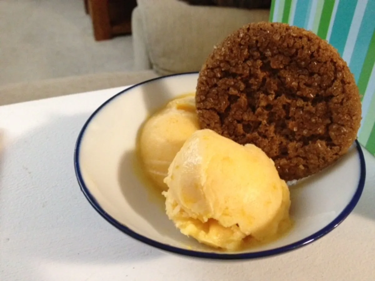 Apricot Sorbet