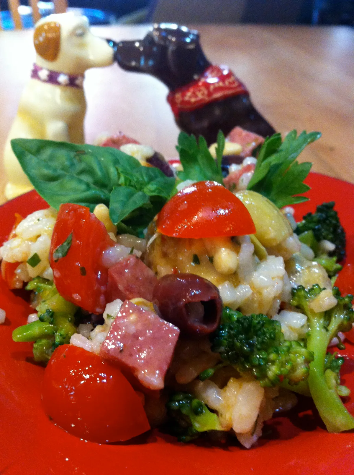 Arborio Rice Italian Salad