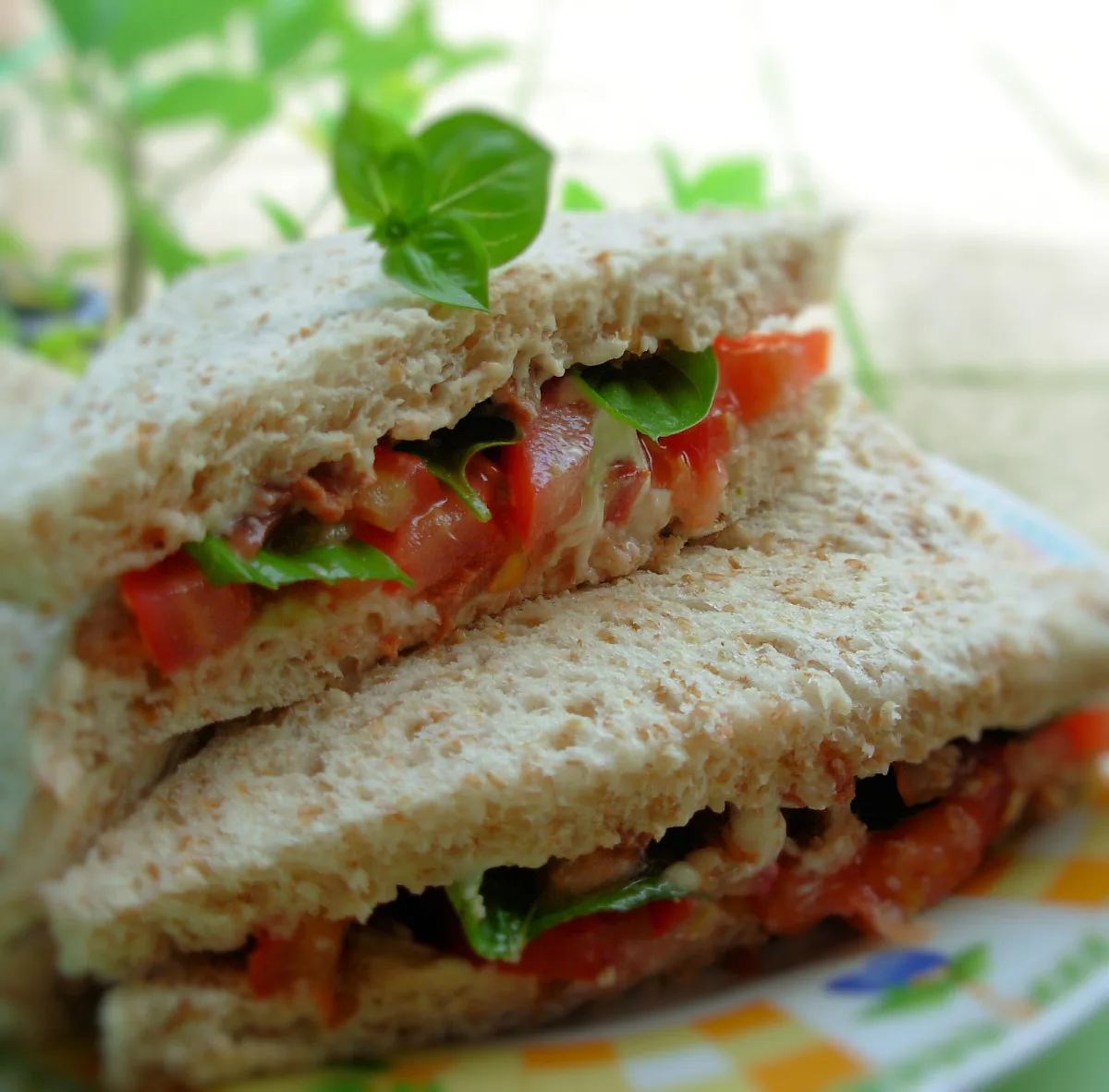 Best Tomato-Basil Sandwich!!!