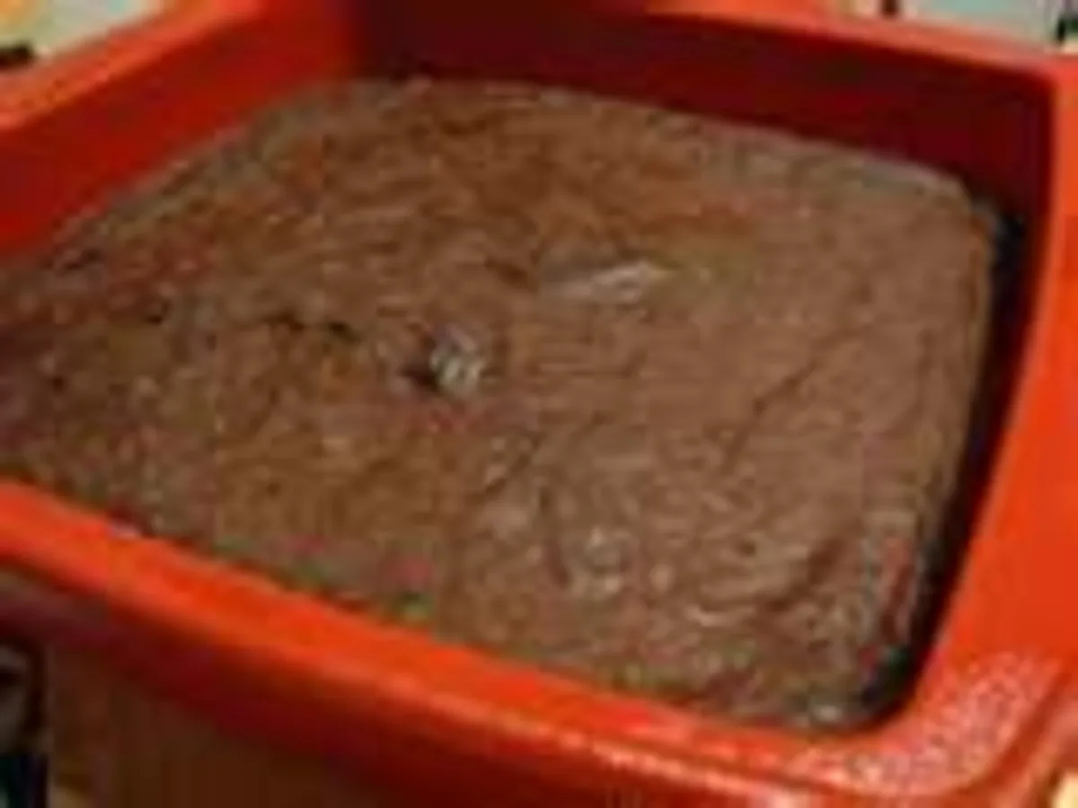 Black Bean Brownies