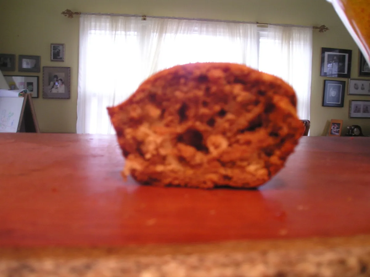 Chestnut Sour Cream Coffee Cake