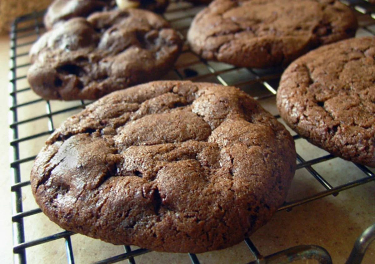 Chocolate Chocolate Chip Cookies