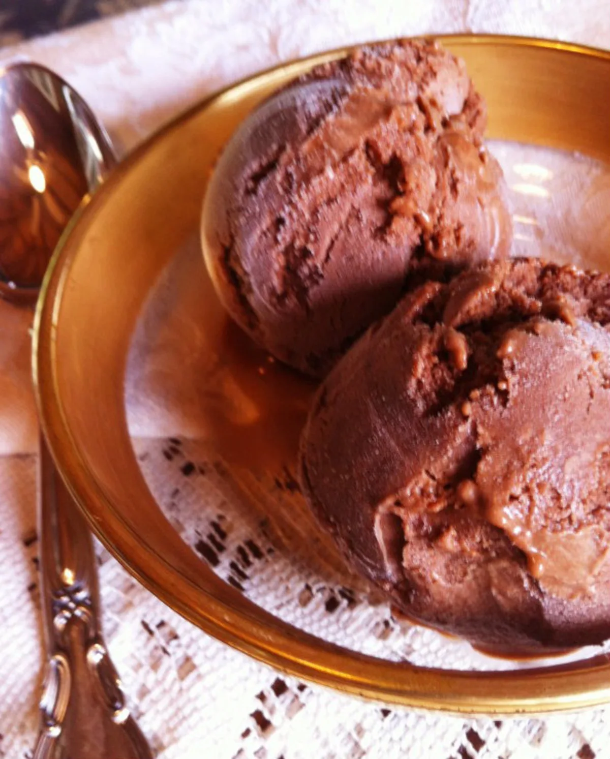 Chocolate Coconut Ice Cream