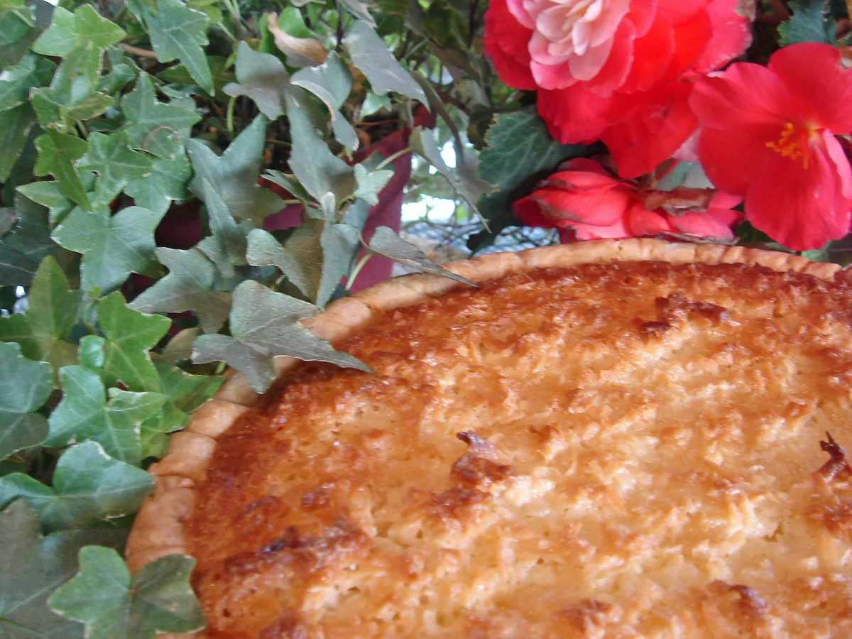 Cloie's Coconut Macaroon Pie