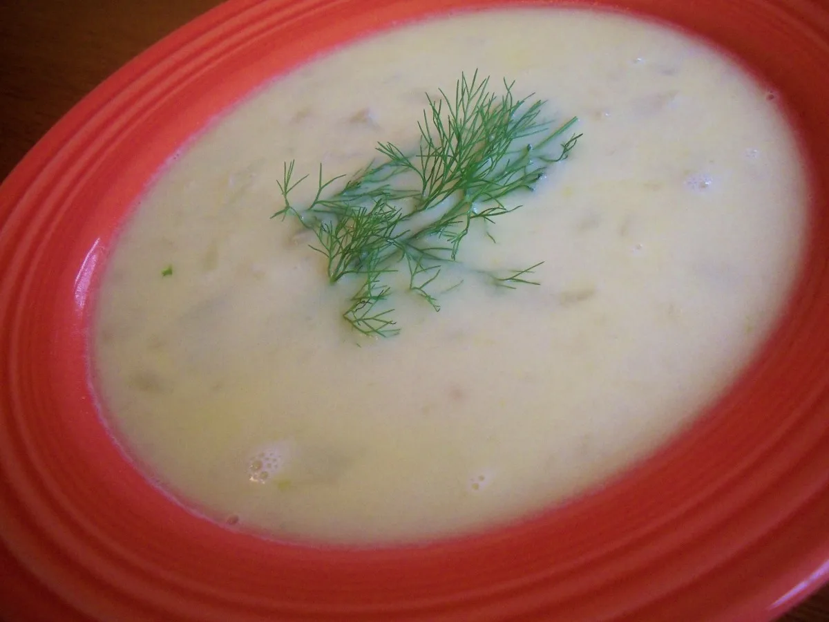 Cream of Fennel Soup