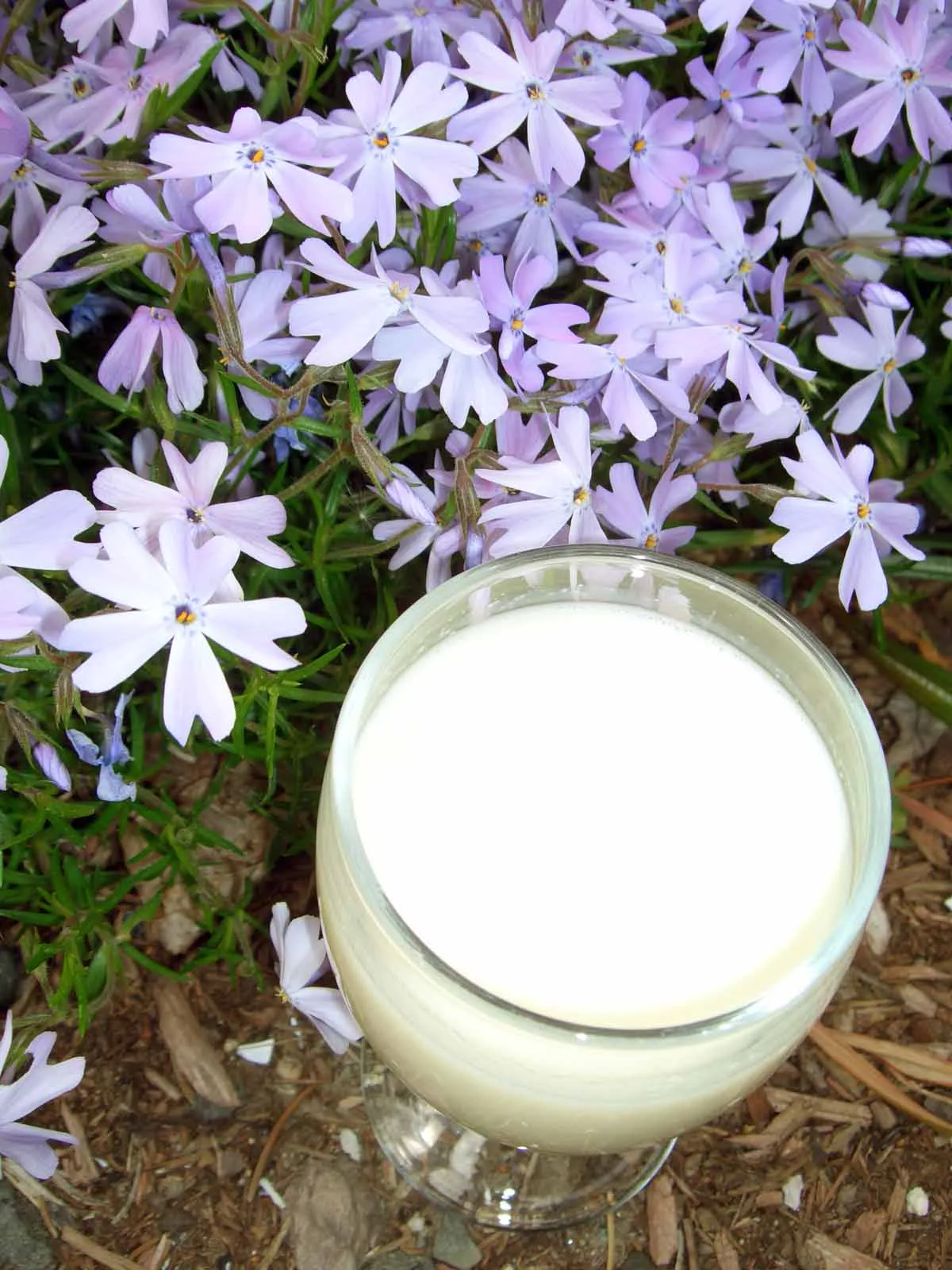 Creamy Limoncello