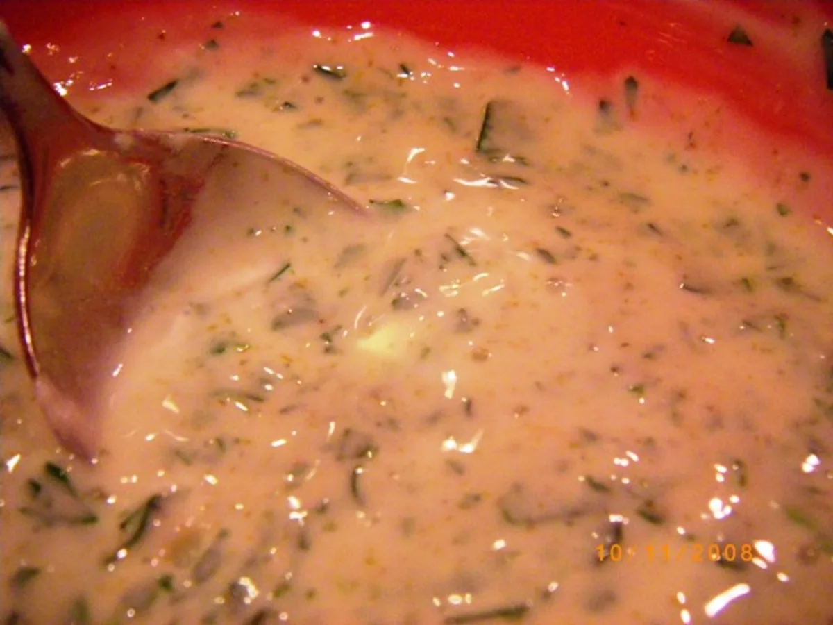 Cumin  Mint & Coriander Yogurt