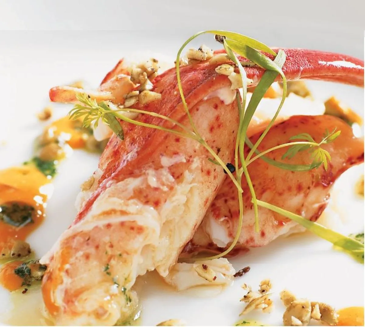 Deconstructed Lobster Bisque