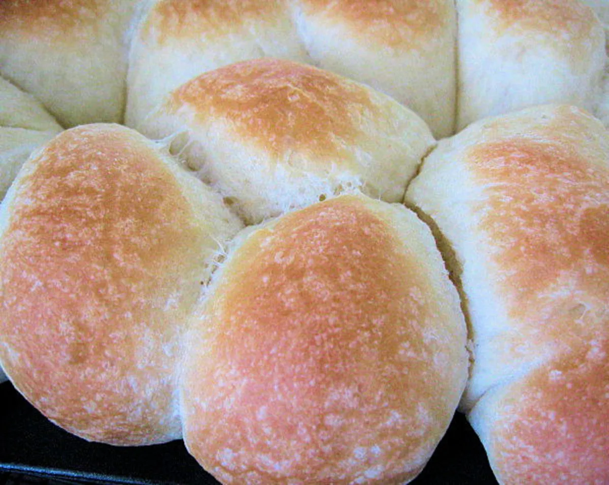 Dinner Rolls