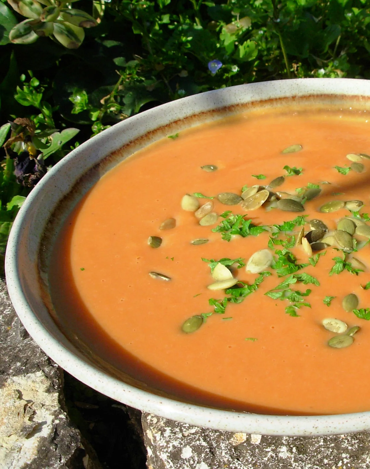Easy Creamy Pumpkin Soup