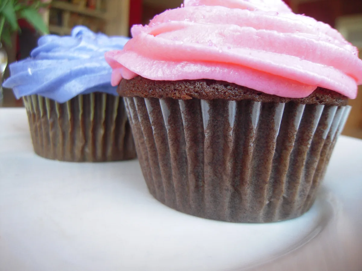 Feathery Fudge Cupcakes