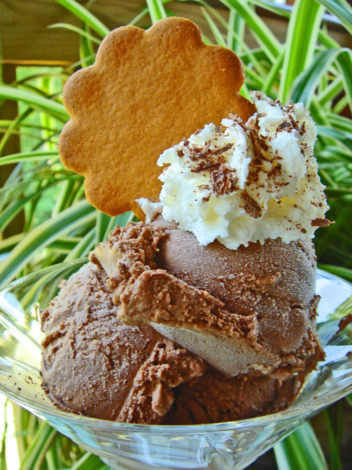 French Chocolate Ice Cream