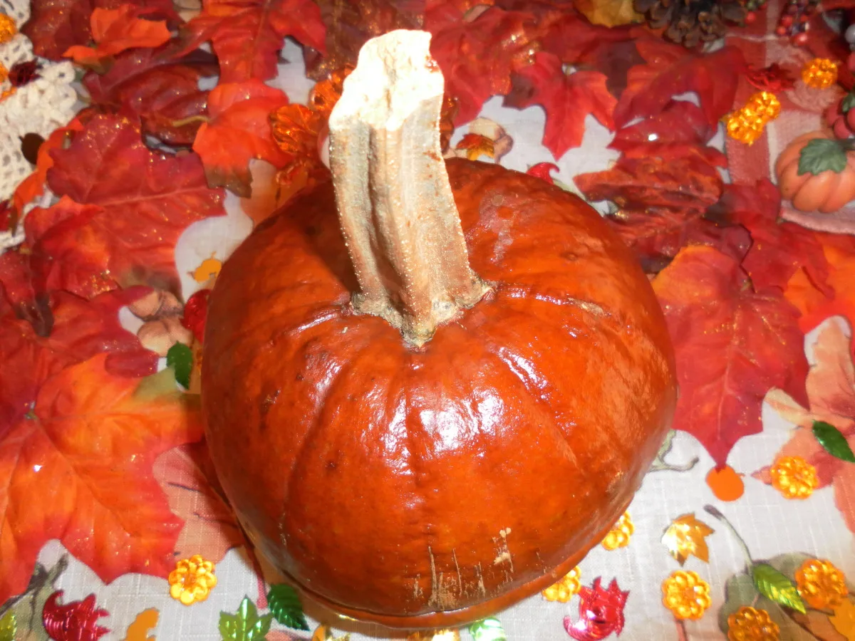 Fresh Pumpkin (Canned, Puree, Frozen)