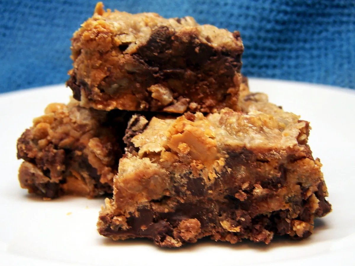 FudgieScotch Squares
