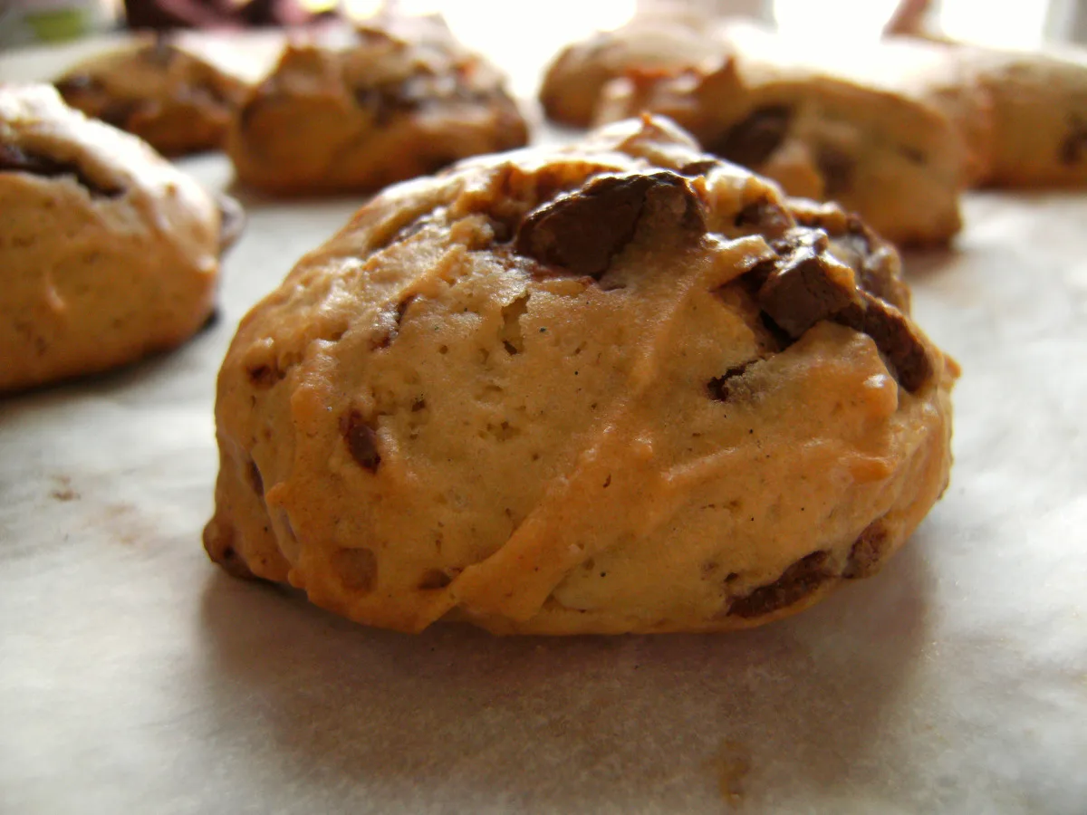 Holland America Chocolate Chip Cookies