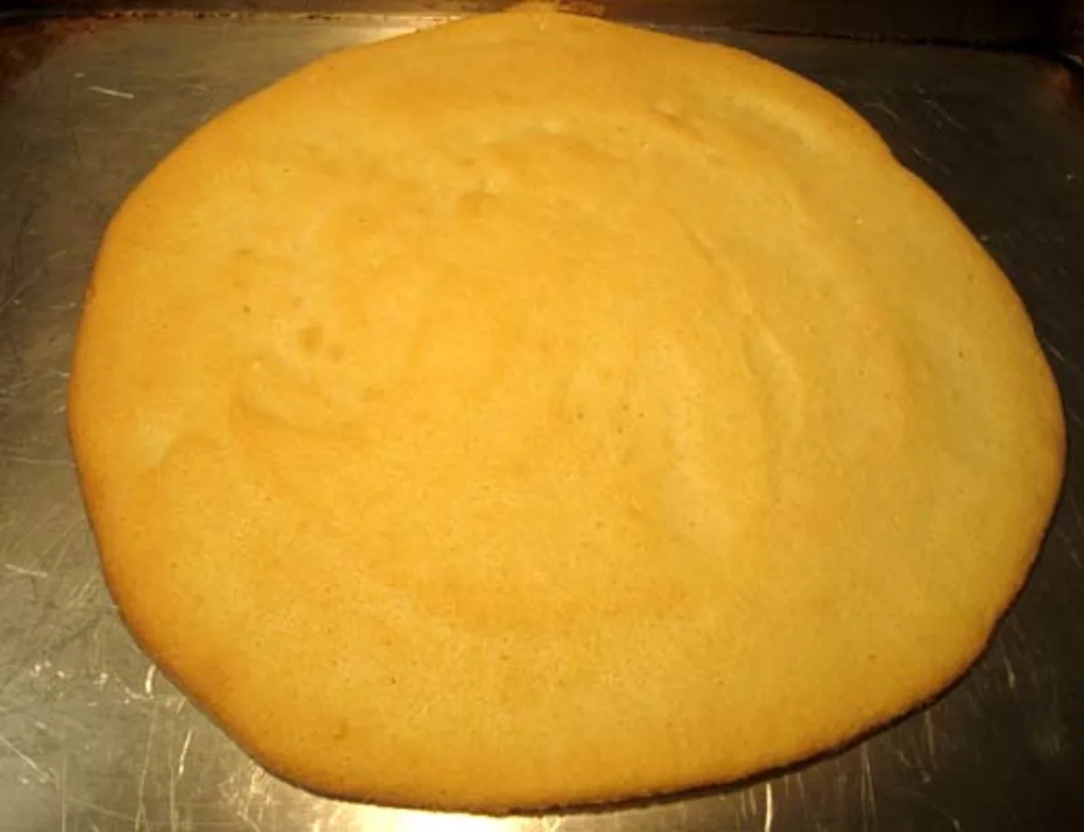 Homemade Pizza Crust