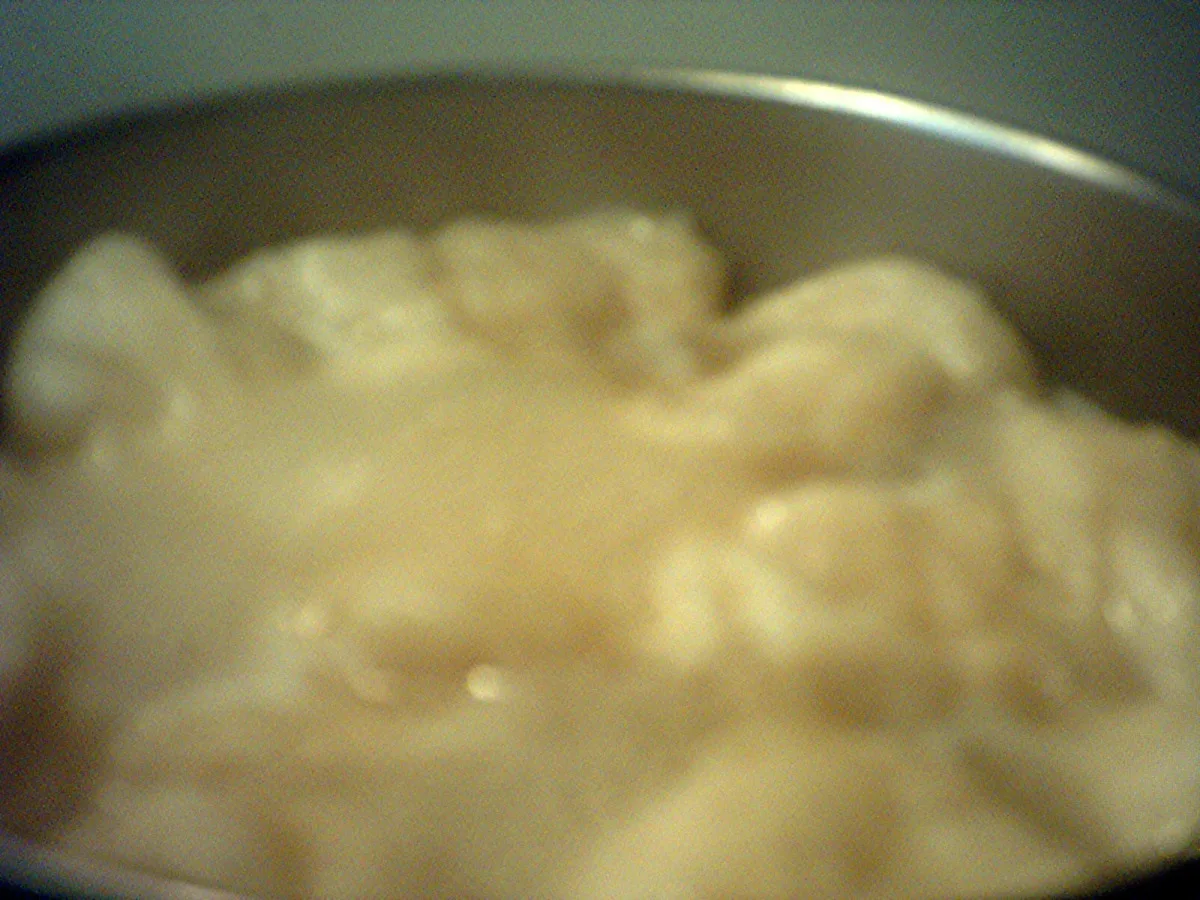 Lazy Dumplings