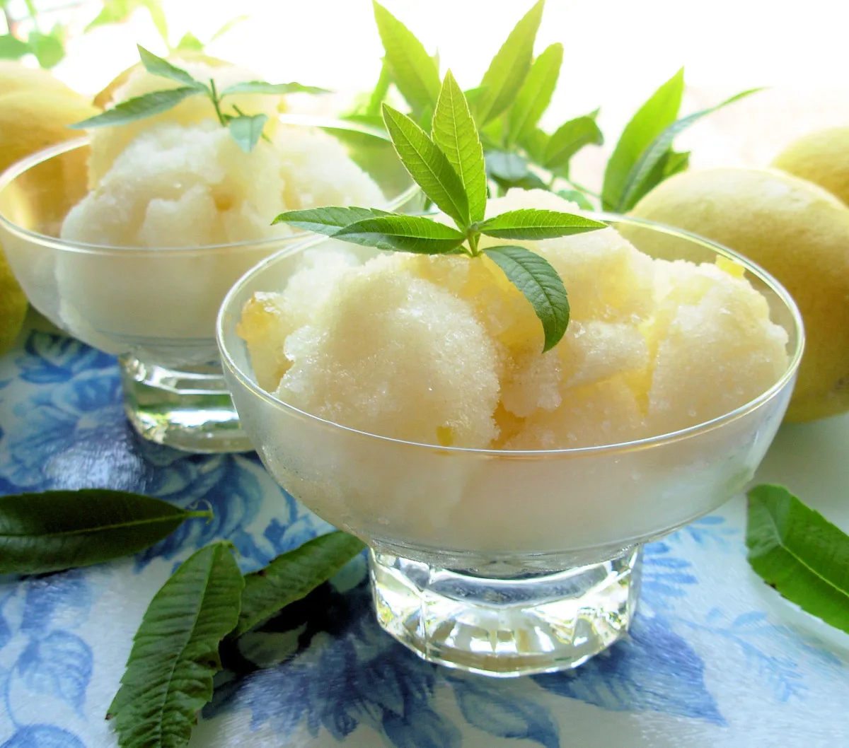 Lemon Verbena Ice Cream from a French Country Herb Garden