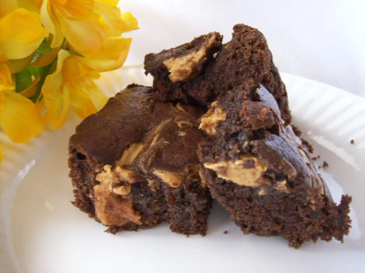 Lunchbox Peanut Butter Brownies