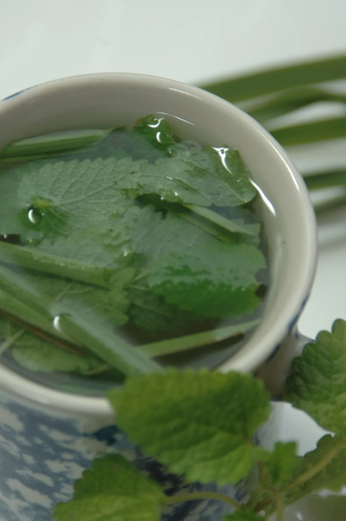 Luscious Lemongrass Tea