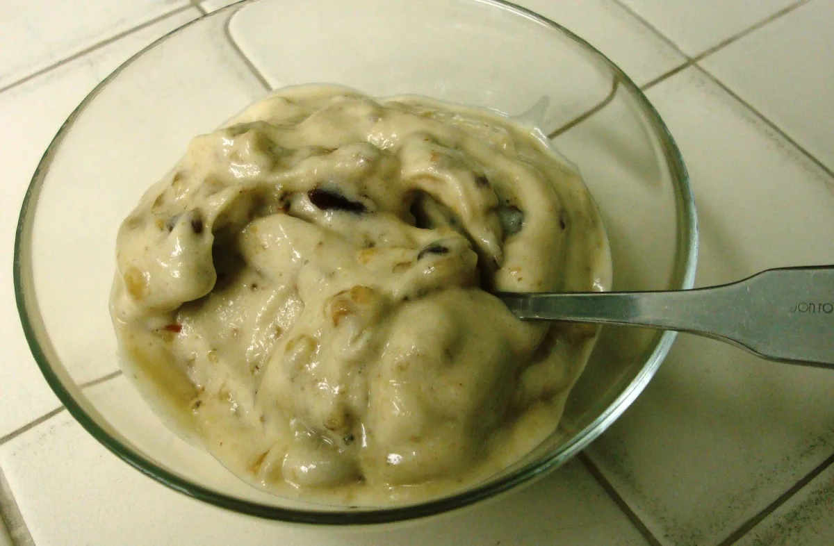 Maria's Paleo Pecan Ice Cream
