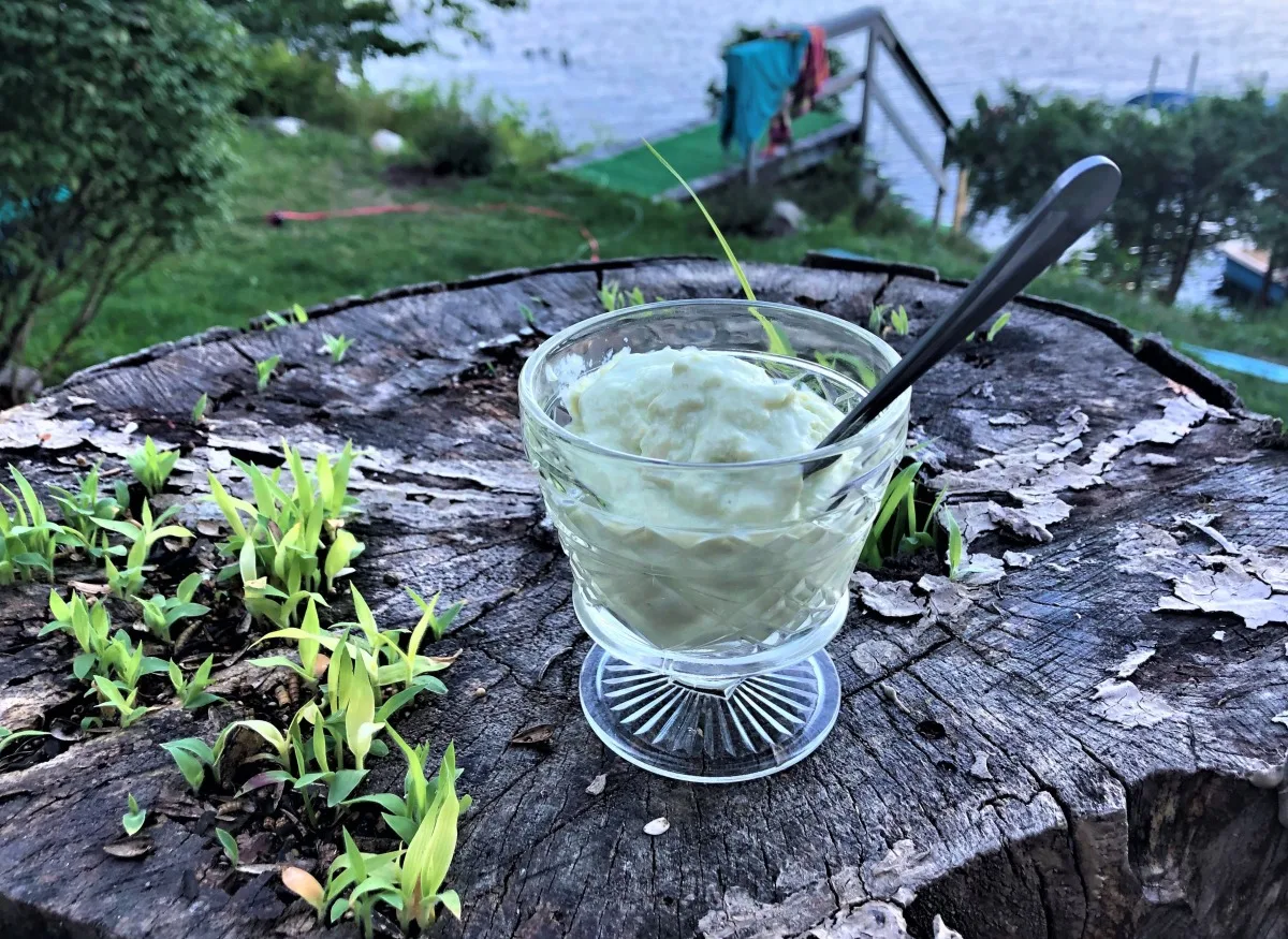 Maryjane's Avacado Ice Cream