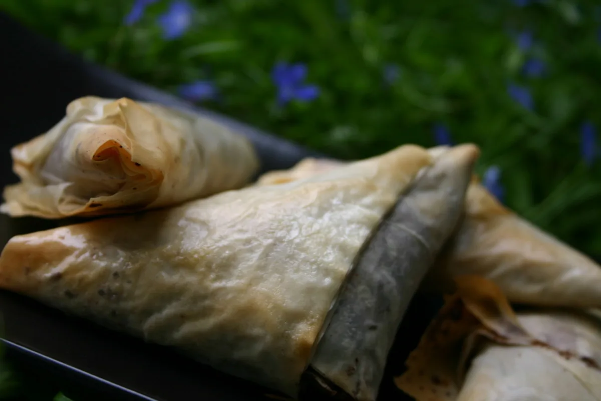 Mexican Chocolate Phyllo Triangles