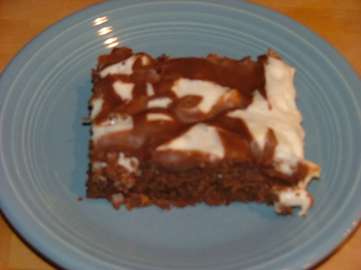 Mississippi Mud Cake
