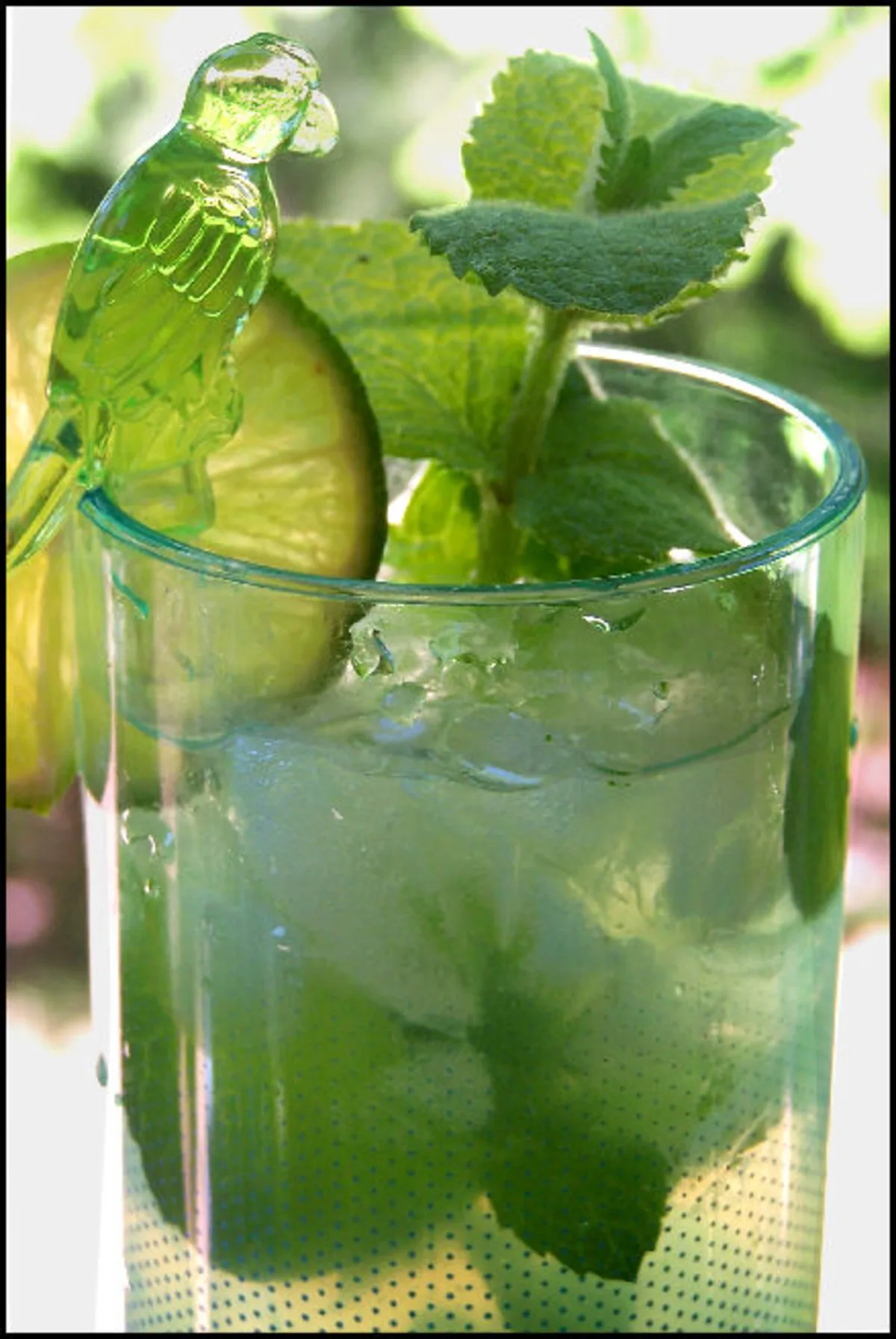 Mojito Del Sol