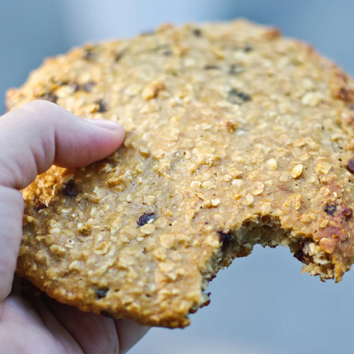 Monster Size Breakfast Cookies