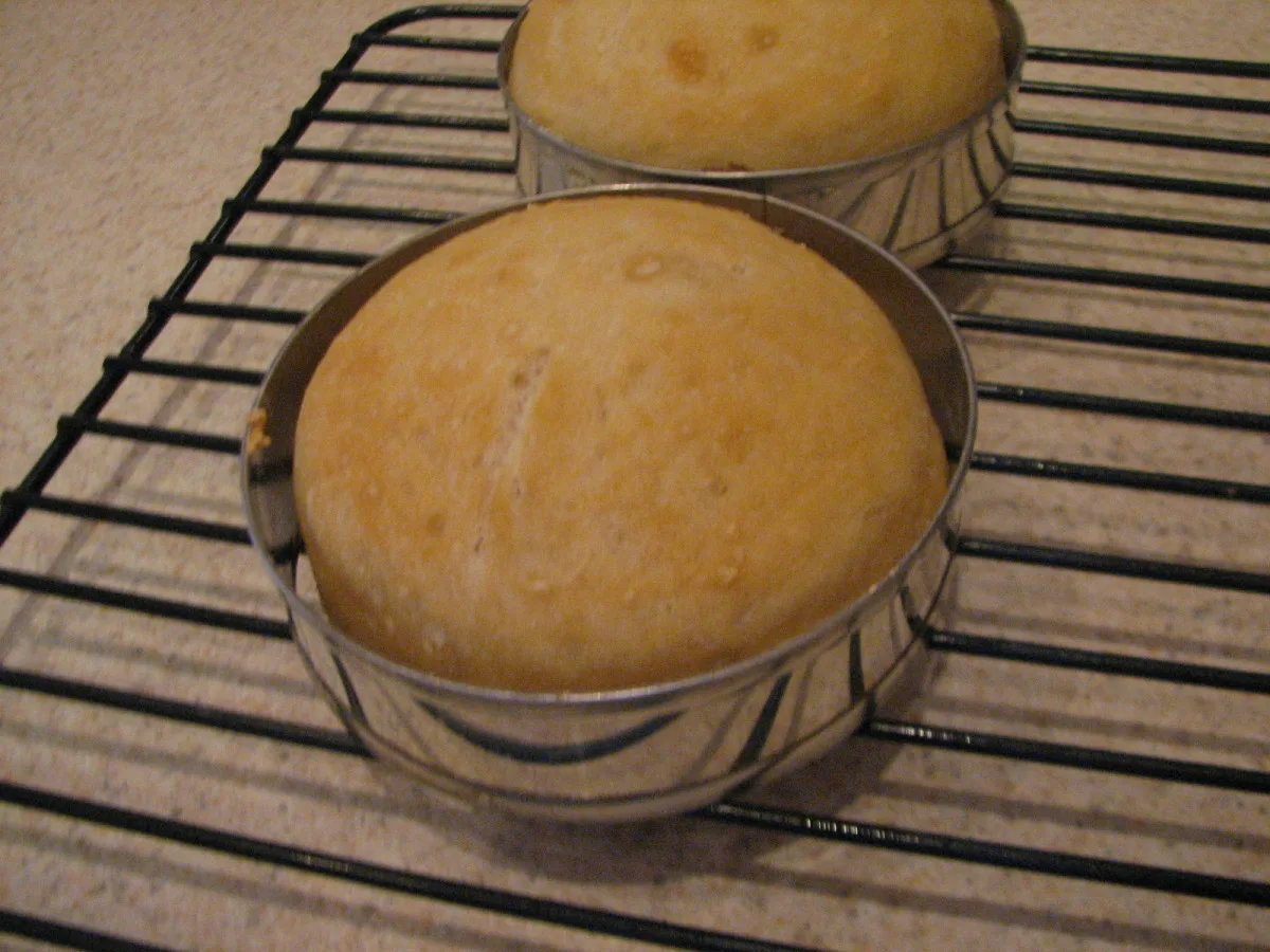 No-Knead Sandwich Rolls/Buns