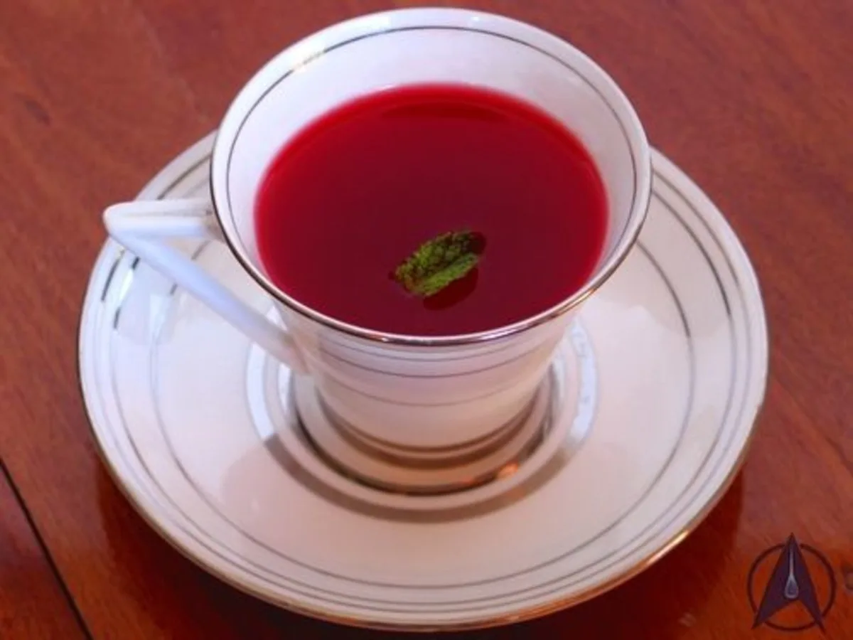 Plomeek Soup