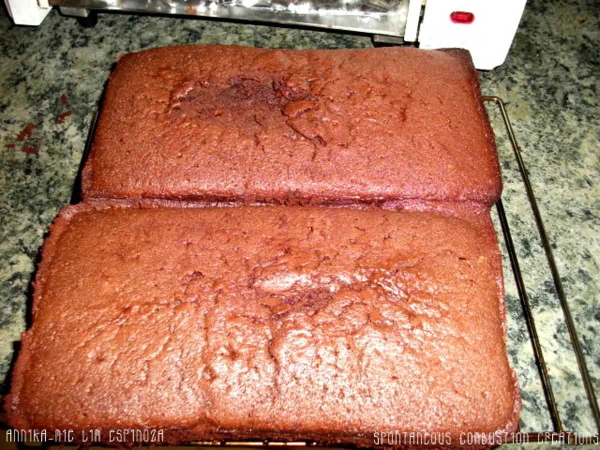 Rich Chocolate Loaf Cake